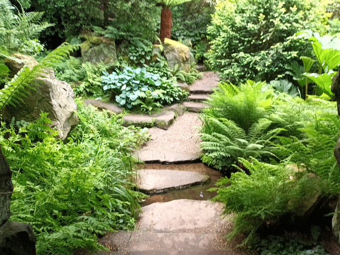 Japanese style stepping garden stones over river with Ferns and grasses